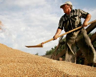 Казахстан: Фермеры получат беззалоговые кредиты, если они состоят в кооперативе